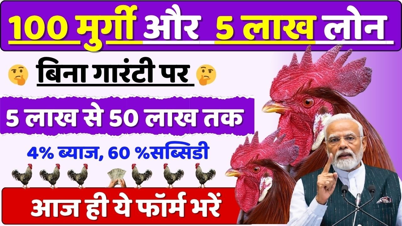 Poultry Farm Loan 2026
