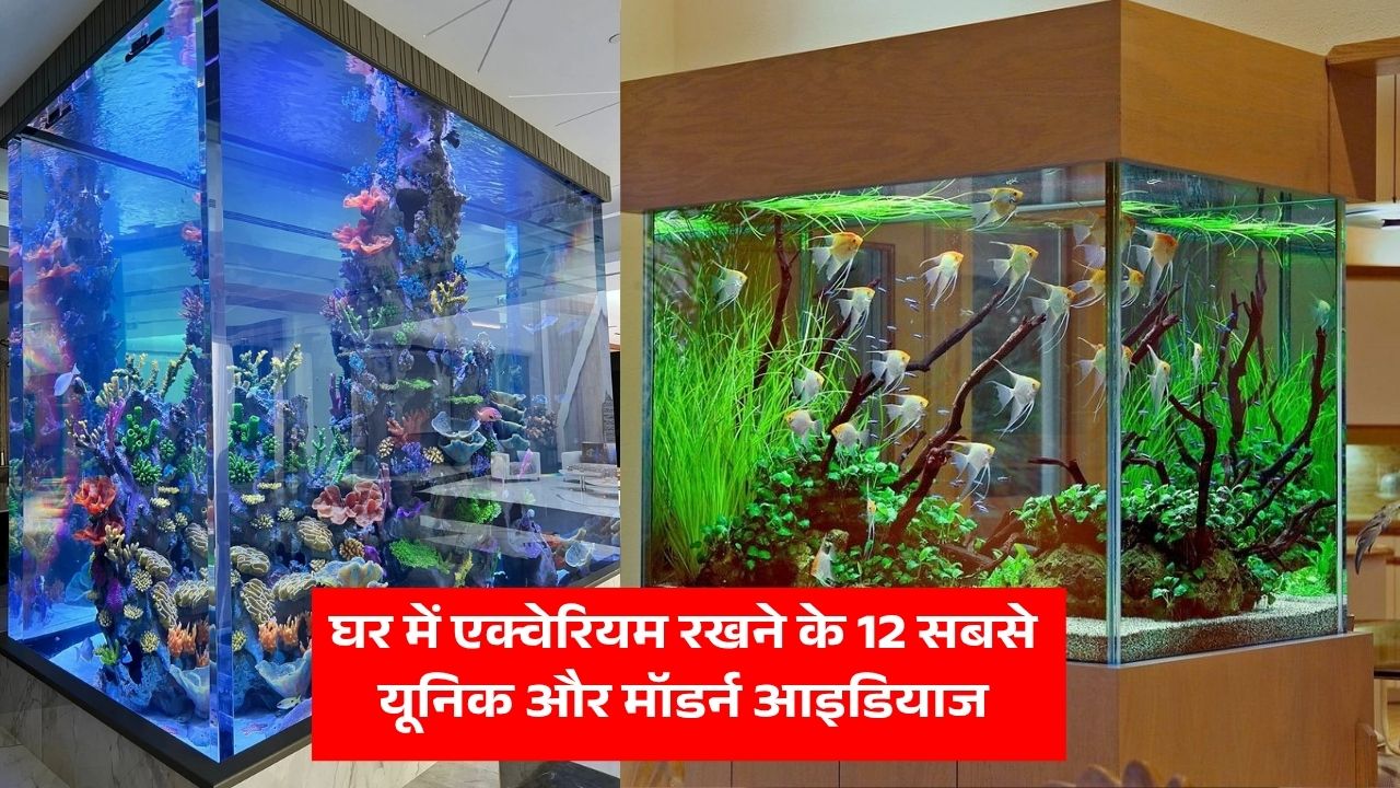 Aquarium Design for Home