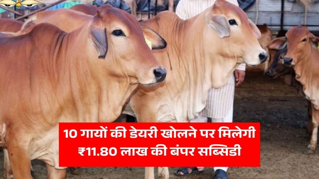 10 गायों की डेयरी खोलने पर मिलेगी ₹11.80 लाख की बंपर सब्सिडी